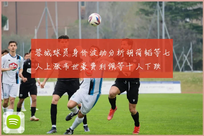 蓉城球员身价波动分析胡荷韬等七人上涨韦世豪费利佩等十人下跌